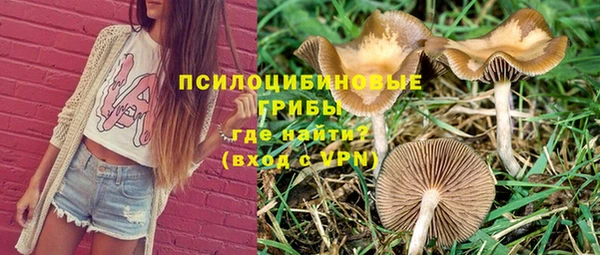 не бодяженный Карпинск
