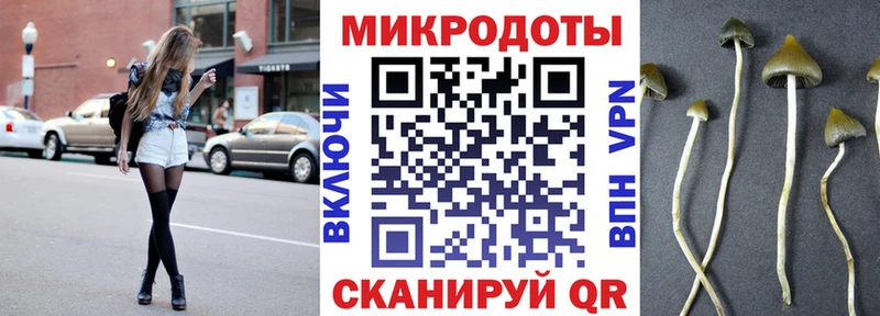 Галлюциногенные грибы мухоморы площадка состав Костомукша
