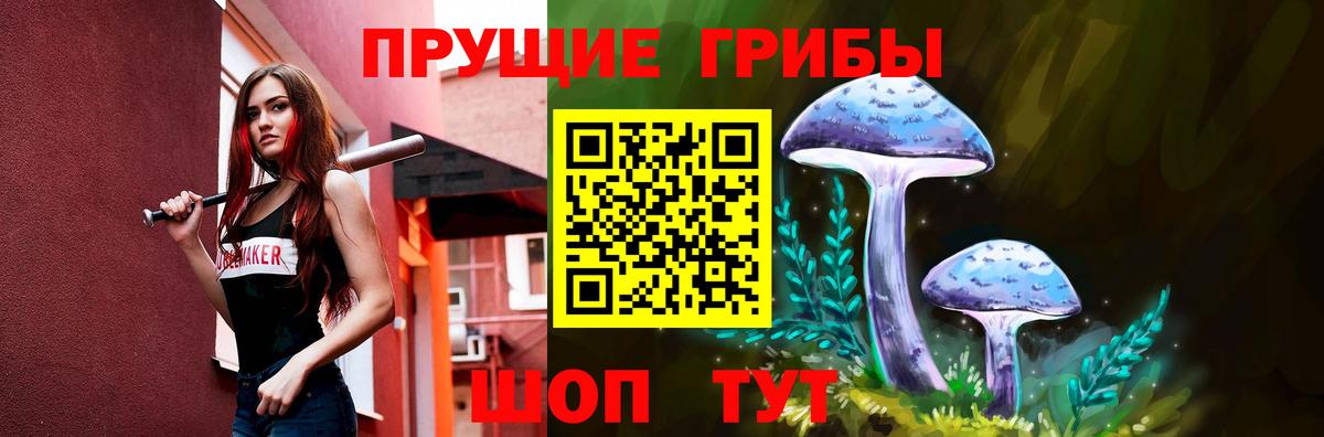 Галлюциногенные грибы Cubensis Костомукша