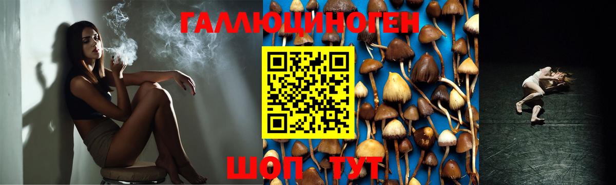 Псилоцибиновые грибы MAGIC MUSHROOMS  Вход с VPN  Костомукша 